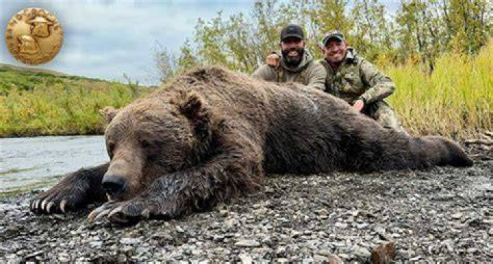 Has Anyone Killed A Bear On Alone?