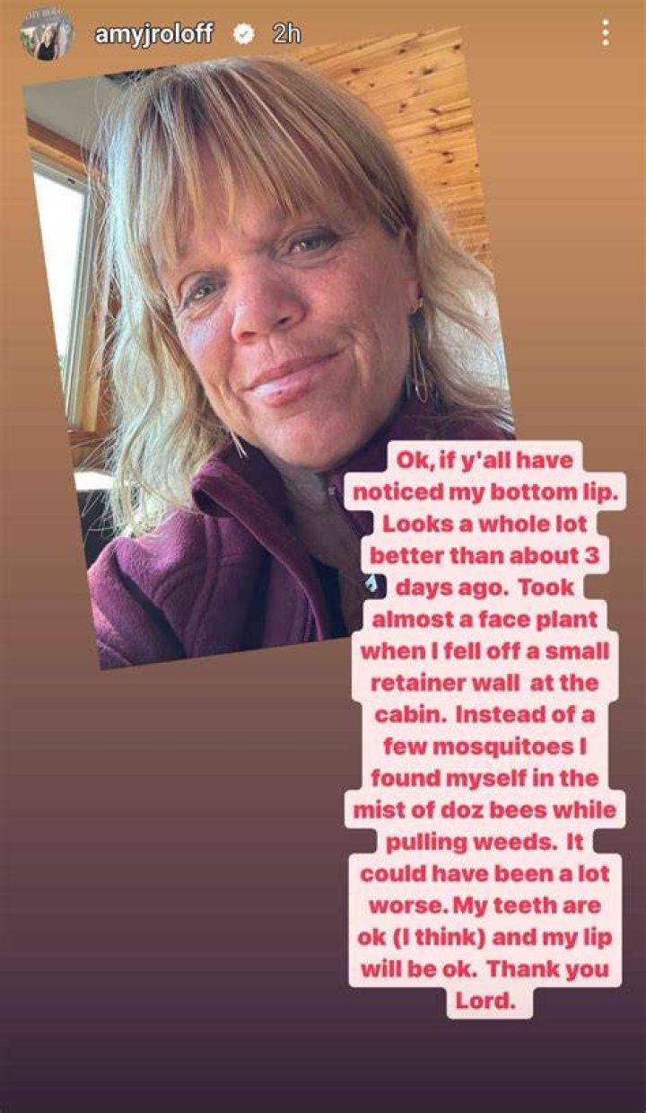 The Truth Behind Amy Roloff's Accident Rumors